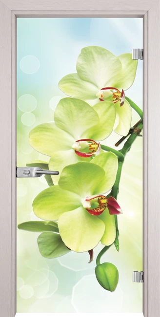 Стъклена Врата Gama Print G 13-3 Green Перла