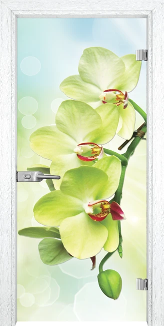 Стъклена Врата Gama Print G 13-3 Green Бреза