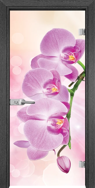 Стъклена Врата Gama Print G 13-3 Pink Сив Кестен