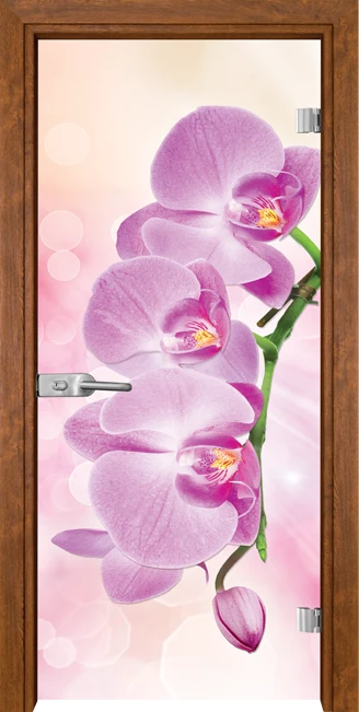 Стъклена Врата Gama Print G 13-3 Pink Златен Дъб