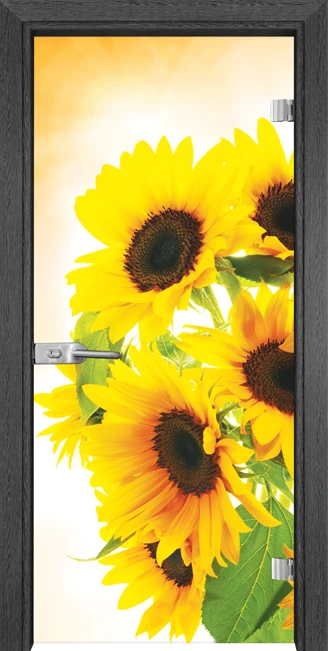 Стъклена Врата Gama Print G 13-4 Сив Кестен