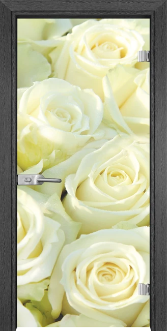 Стъклена Врата Gama Print G 13-6 Сив Кестен