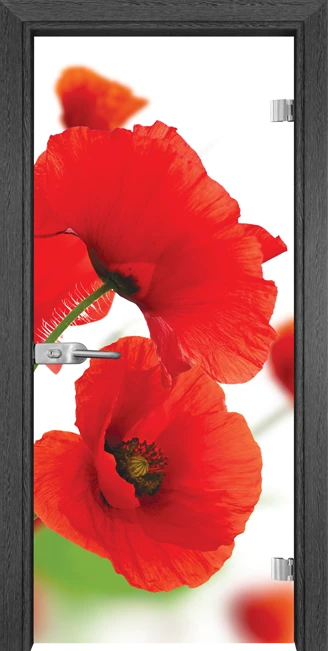 Стъклена Врата Gama Print G 13-8 Сив Кестен